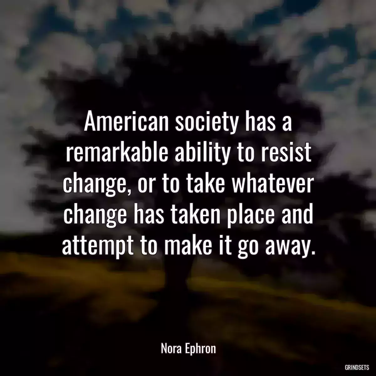 American society has a remarkable ability to resist change, or to take whatever change has taken place and attempt to make it go away.