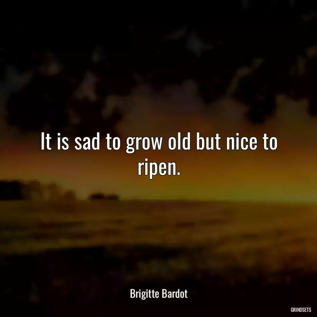 It is sad to grow old but nice to ripen.