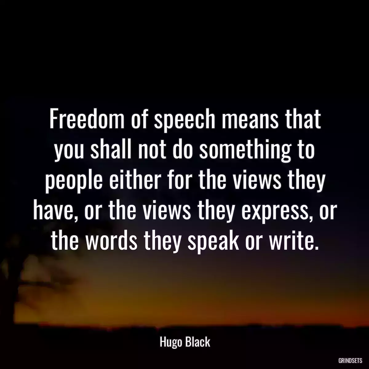 Freedom of speech means that you shall not do something to people either for the views they have, or the views they express, or the words they speak or write.