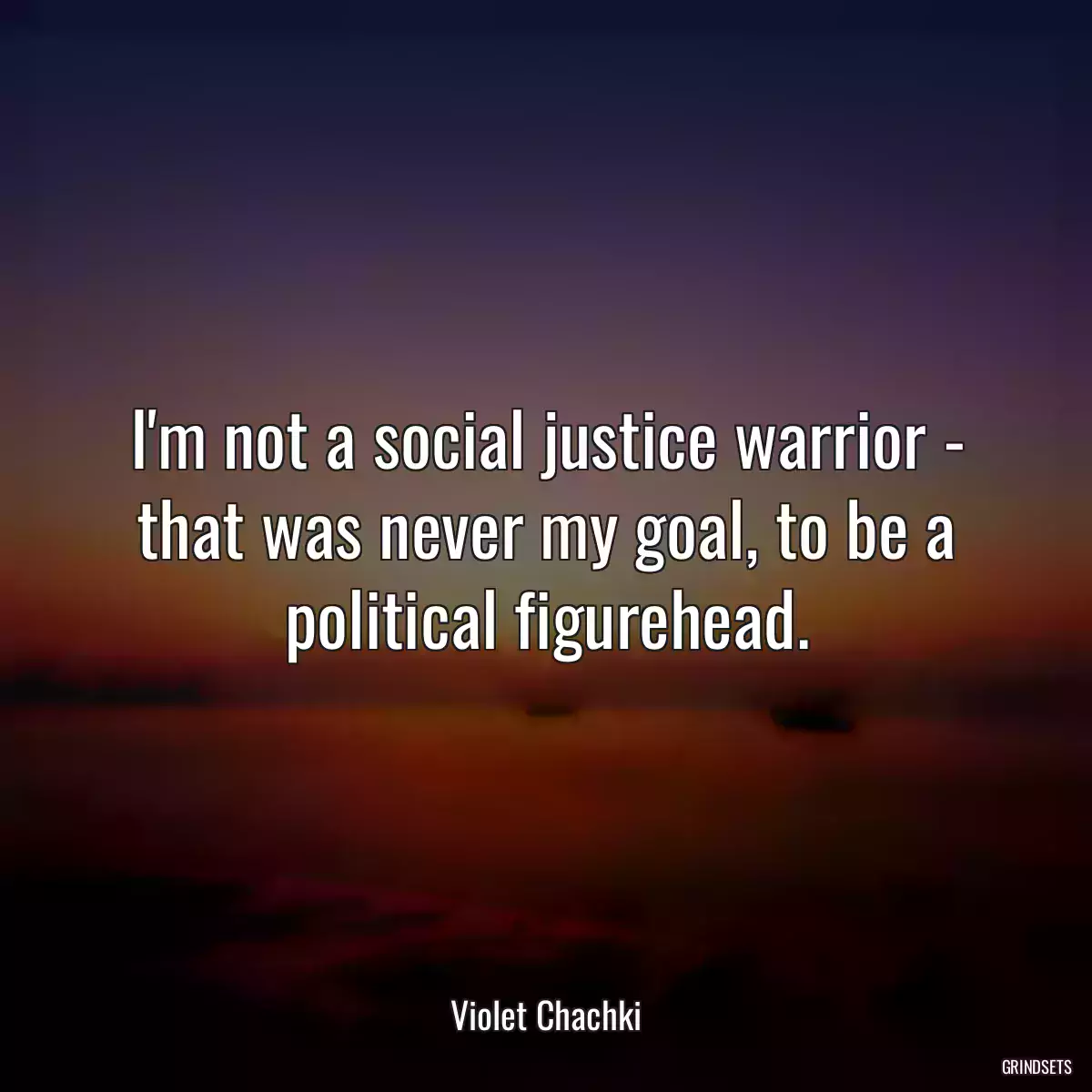 I\'m not a social justice warrior - that was never my goal, to be a political figurehead.