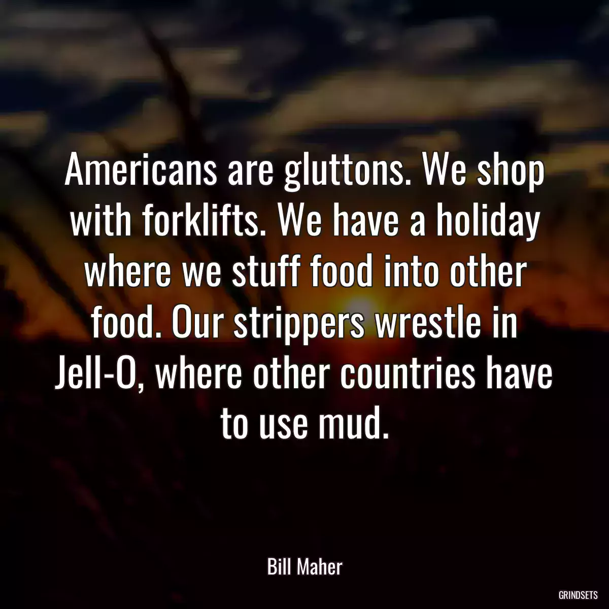 Americans are gluttons. We shop with forklifts. We have a holiday where we stuff food into other food. Our strippers wrestle in Jell-O, where other countries have to use mud.