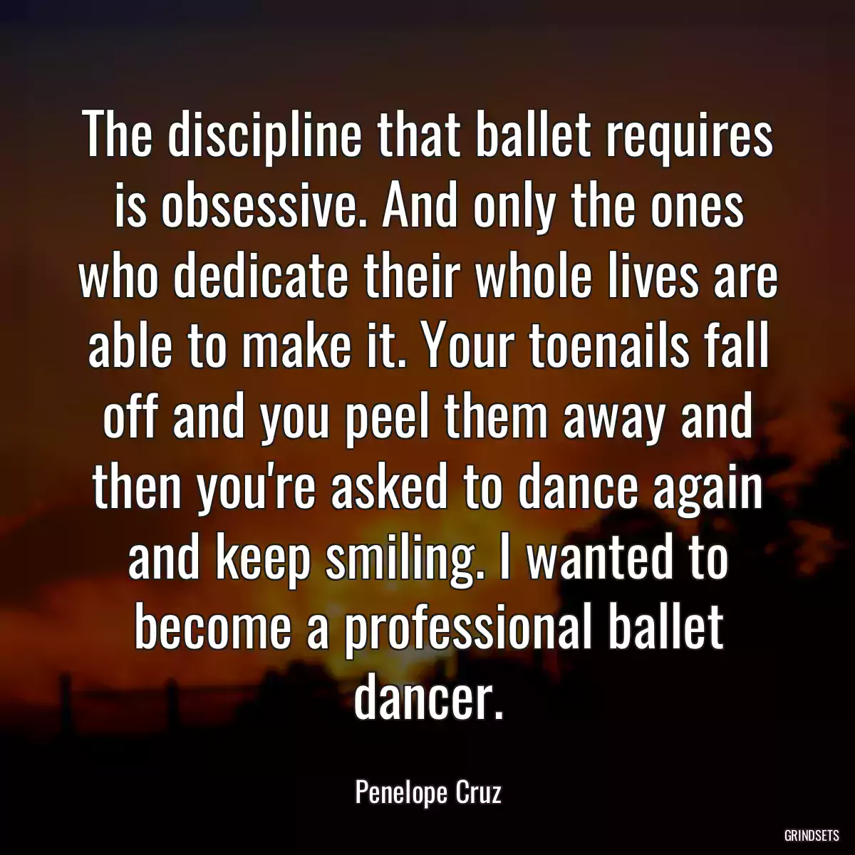 The discipline that ballet requires is obsessive. And only the ones who dedicate their whole lives are able to make it. Your toenails fall off and you peel them away and then you\'re asked to dance again and keep smiling. I wanted to become a professional ballet dancer.