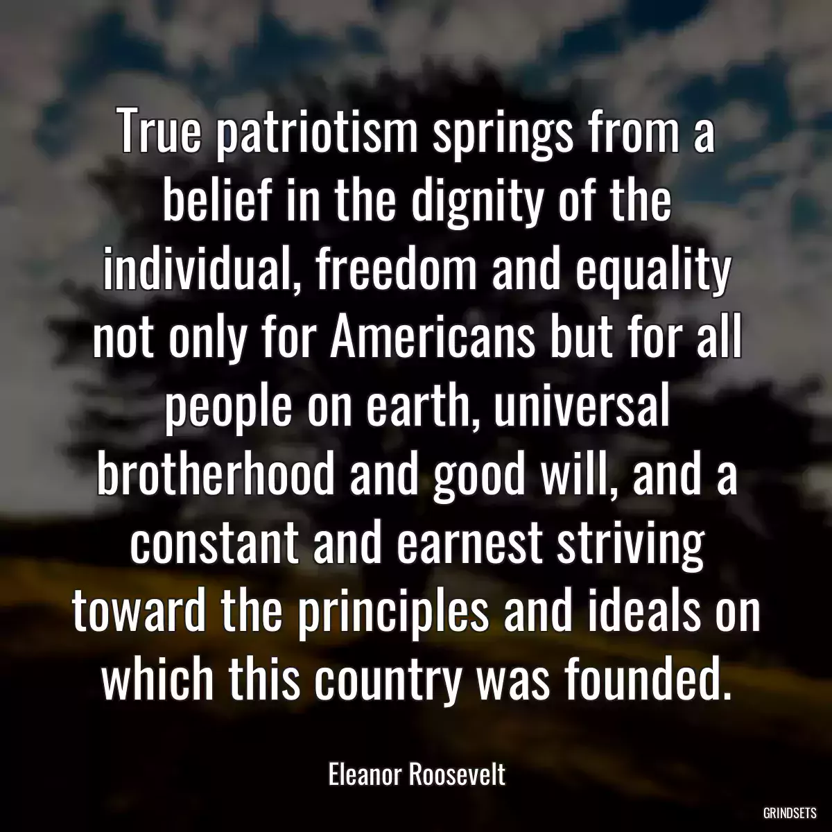 True patriotism springs from a belief in the dignity of the individual, freedom and equality not only for Americans but for all people on earth, universal brotherhood and good will, and a constant and earnest striving toward the principles and ideals on which this country was founded.