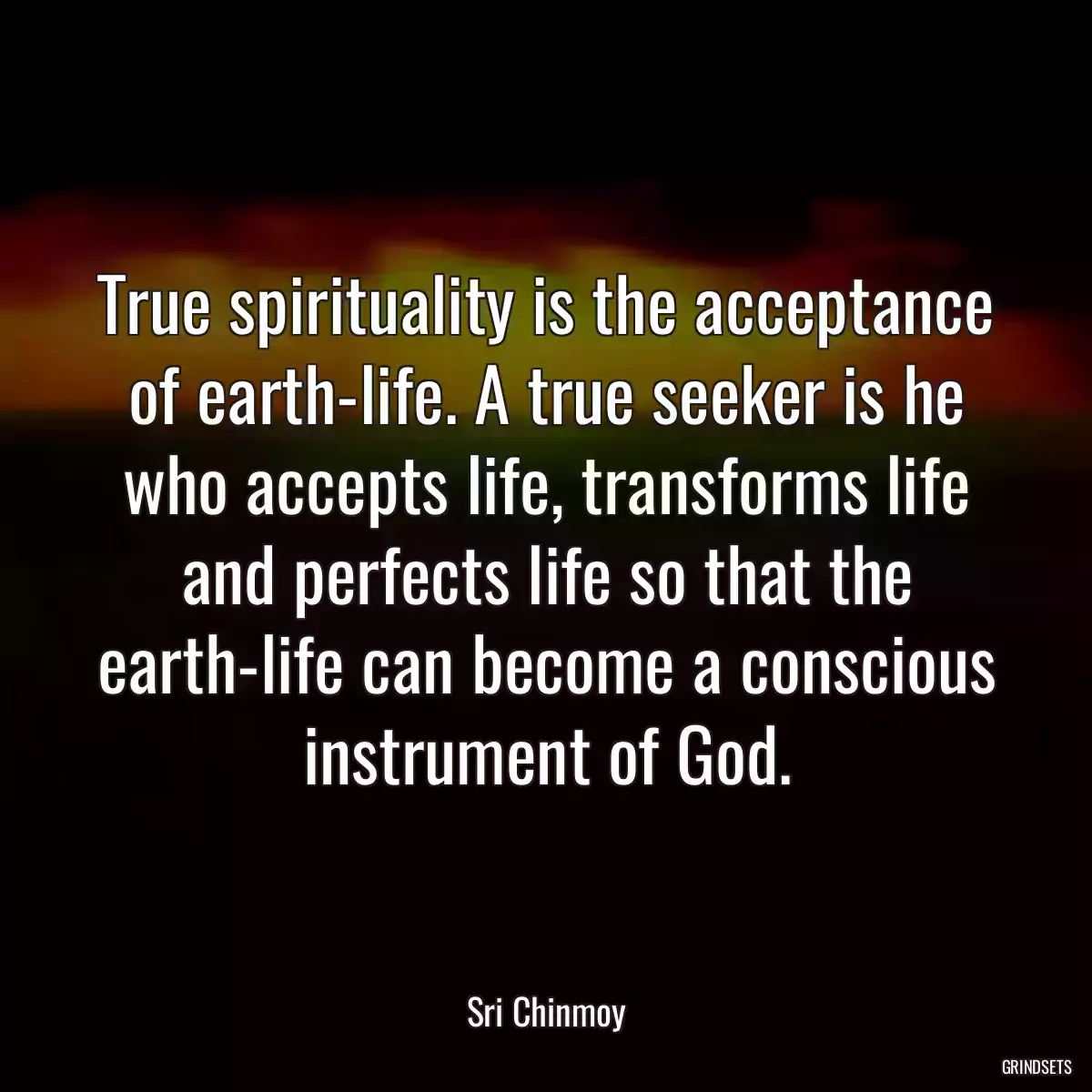 True spirituality is the acceptance of earth-life. A true seeker is he who accepts life, transforms life and perfects life so that the earth-life can become a conscious instrument of God.