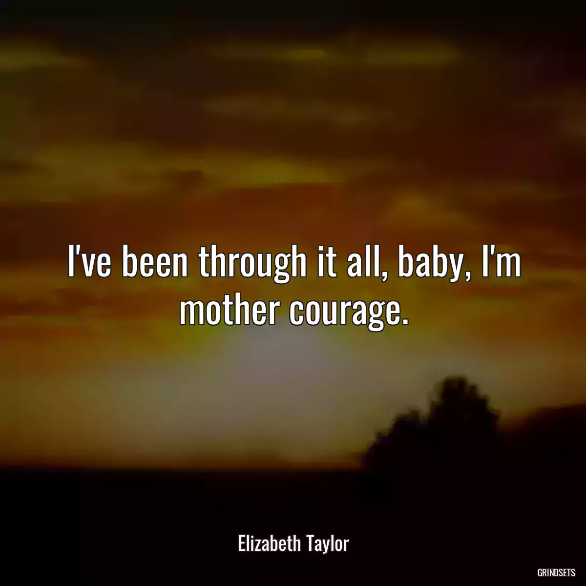 I\'ve been through it all, baby, I\'m mother courage.