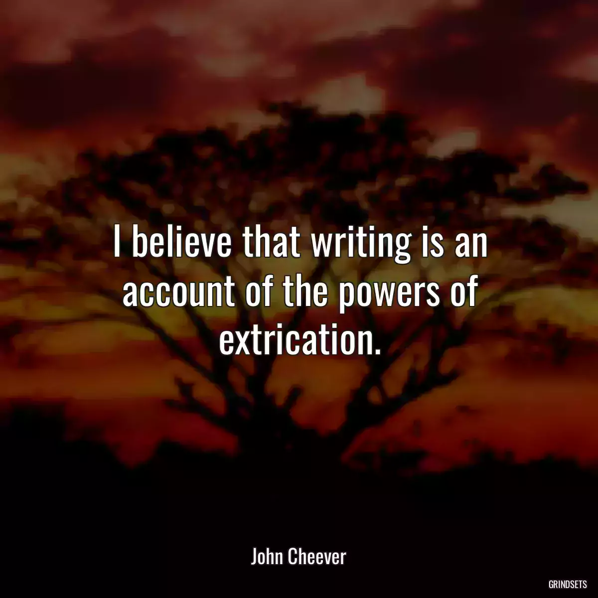 I believe that writing is an account of the powers of extrication.