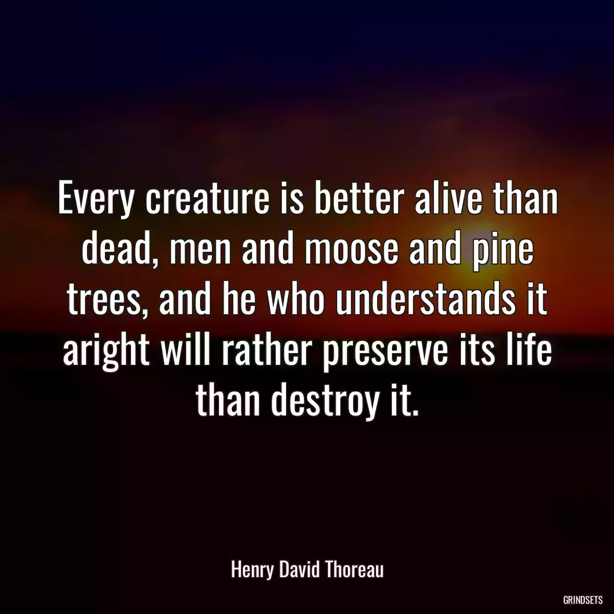 Every creature is better alive than dead, men and moose and pine trees, and he who understands it aright will rather preserve its life than destroy it.