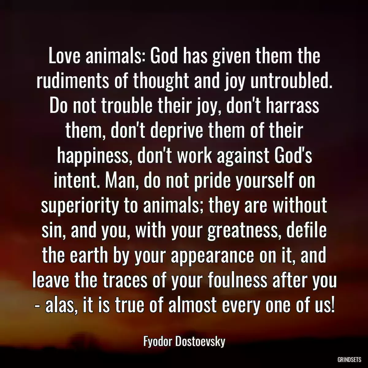 Love animals: God has given them the rudiments of thought and joy untroubled. Do not trouble their joy, don\'t harrass them, don\'t deprive them of their happiness, don\'t work against God\'s intent. Man, do not pride yourself on superiority to animals; they are without sin, and you, with your greatness, defile the earth by your appearance on it, and leave the traces of your foulness after you - alas, it is true of almost every one of us!