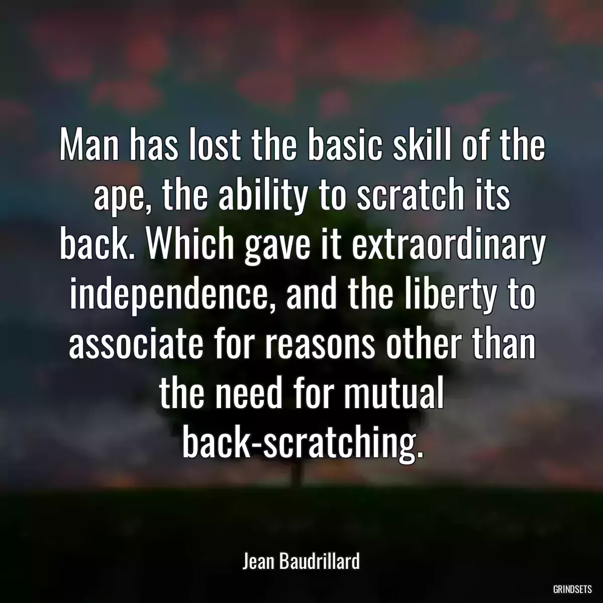 Man has lost the basic skill of the ape, the ability to scratch its back. Which gave it extraordinary independence, and the liberty to associate for reasons other than the need for mutual back-scratching.