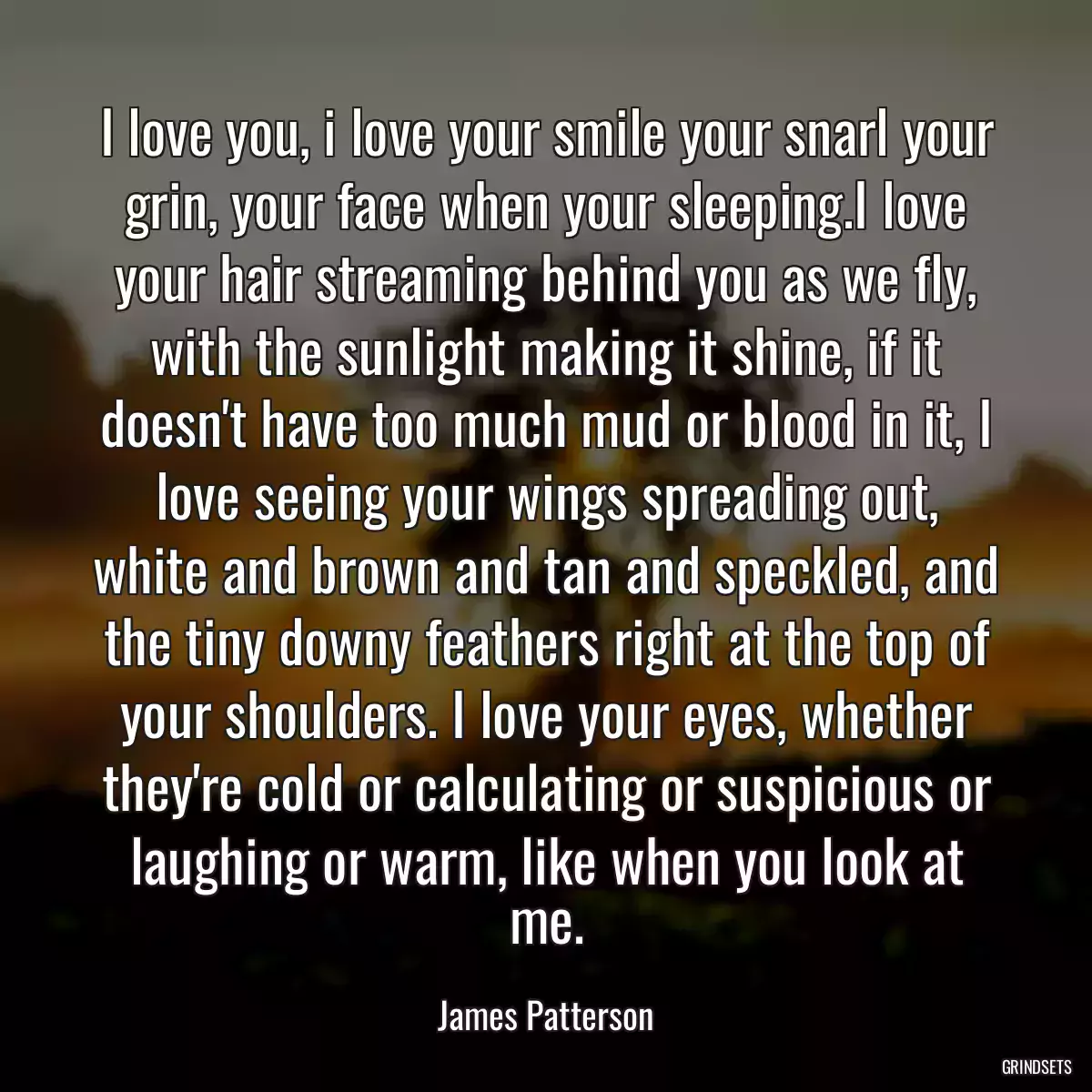 I love you, i love your smile your snarl your grin, your face when your sleeping.I love your hair streaming behind you as we fly, with the sunlight making it shine, if it doesn\'t have too much mud or blood in it, I love seeing your wings spreading out, white and brown and tan and speckled, and the tiny downy feathers right at the top of your shoulders. I love your eyes, whether they\'re cold or calculating or suspicious or laughing or warm, like when you look at me.