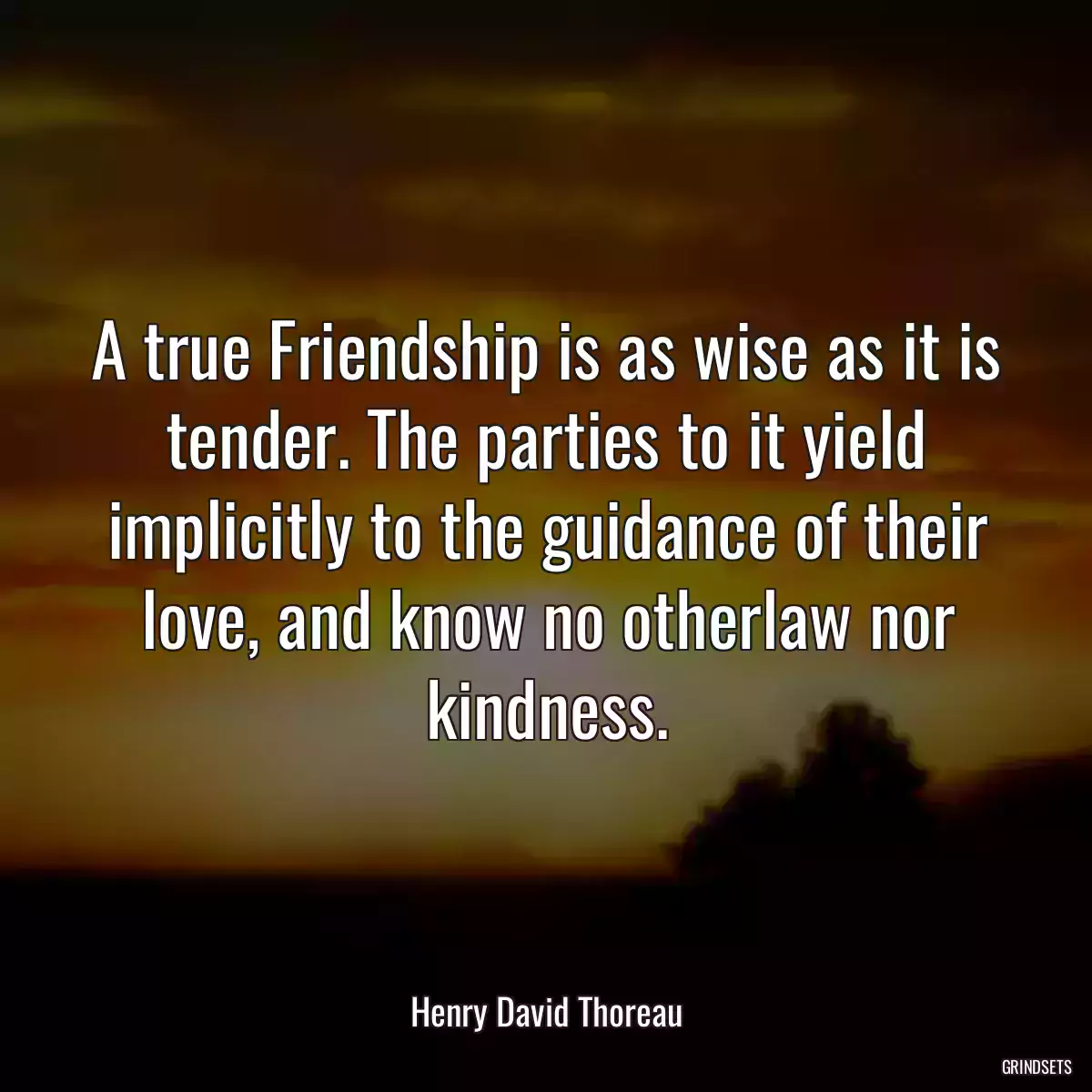 A true Friendship is as wise as it is tender. The parties to it yield implicitly to the guidance of their love, and know no otherlaw nor kindness.