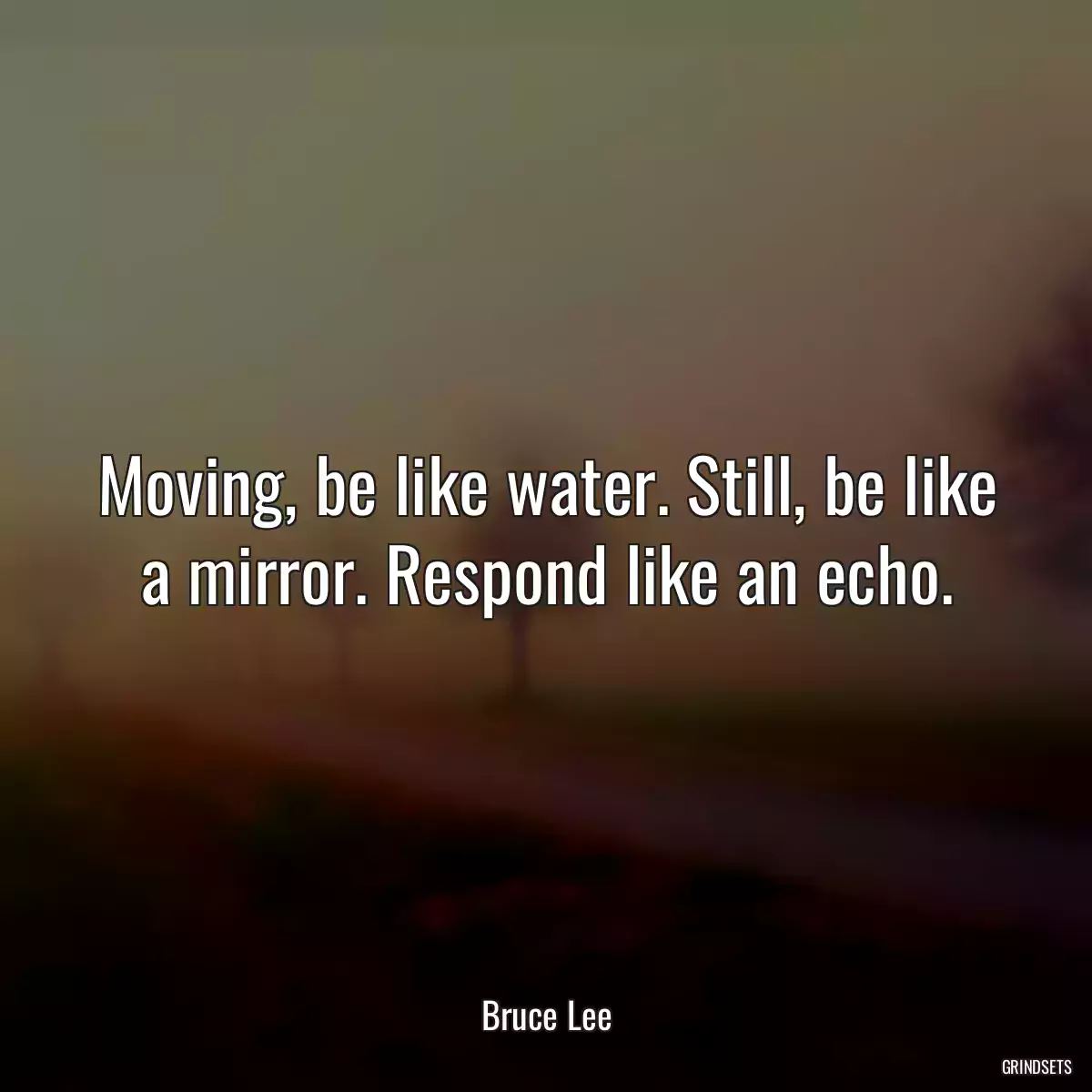 Moving, be like water. Still, be like a mirror. Respond like an echo.