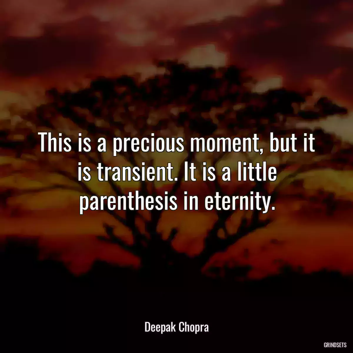 This is a precious moment, but it is transient. It is a little parenthesis in eternity.