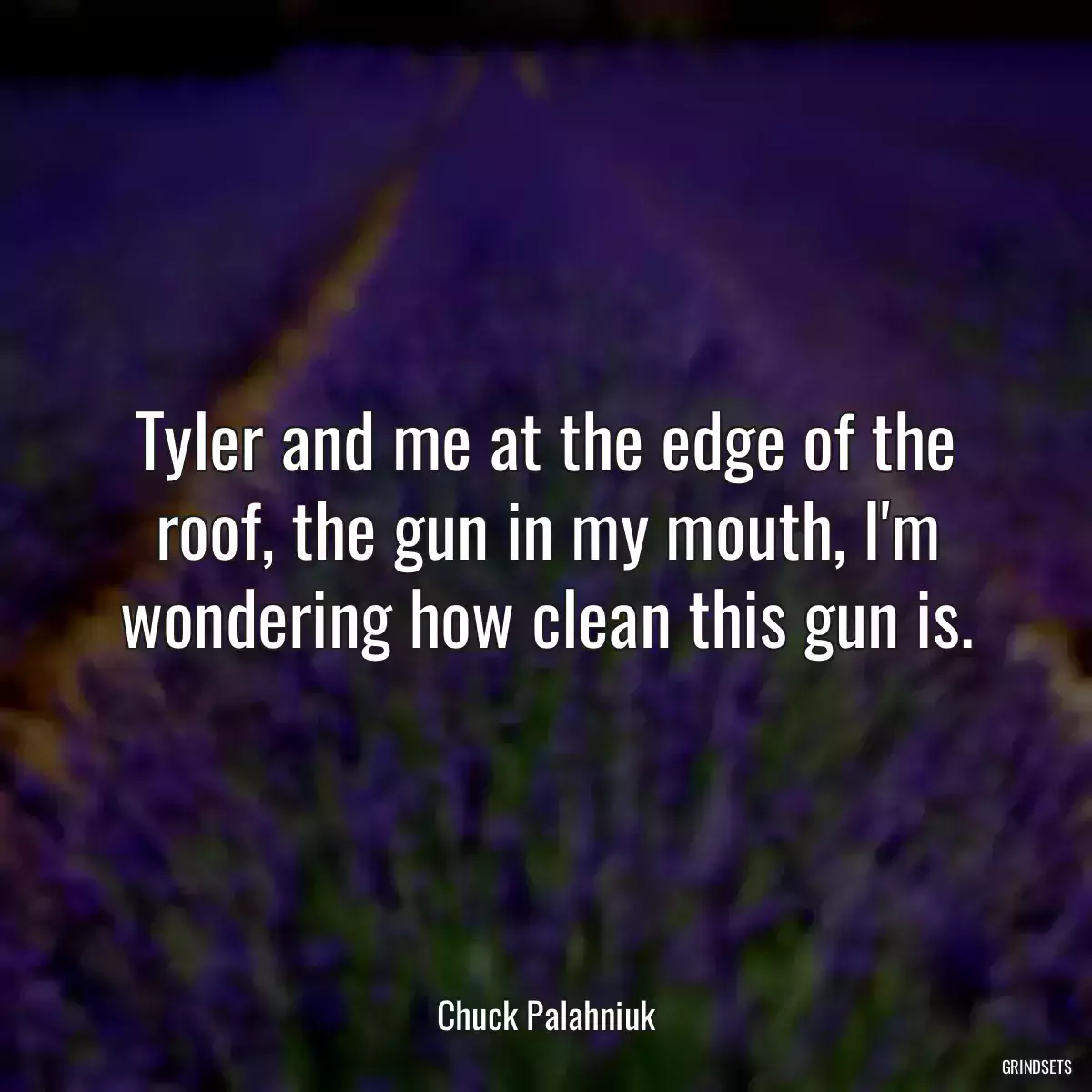 Tyler and me at the edge of the roof, the gun in my mouth, I\'m wondering how clean this gun is.