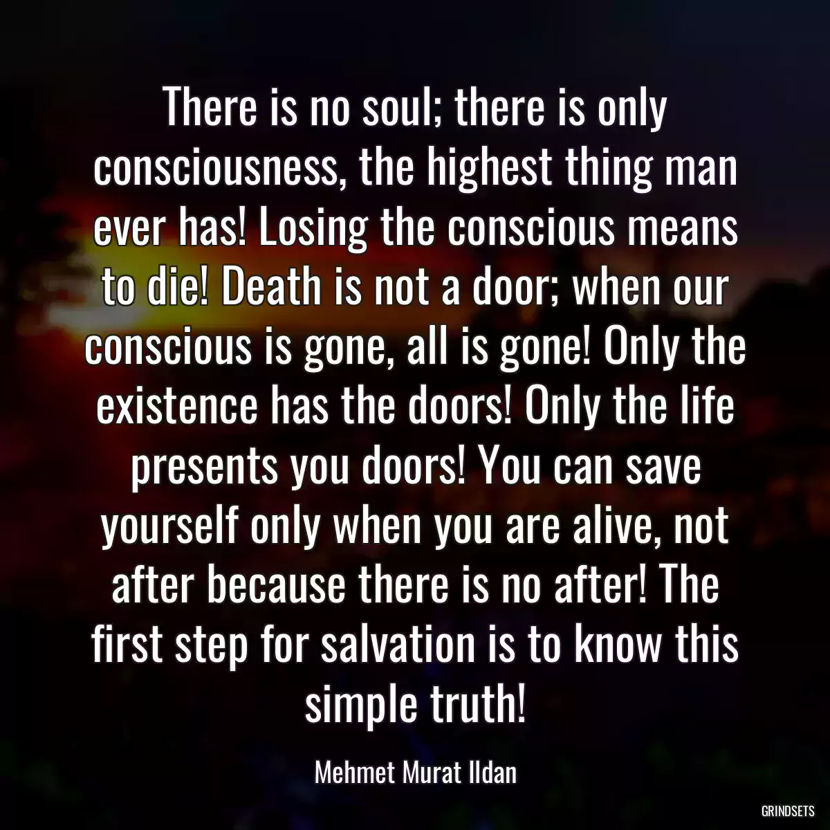 There is no soul; there is only consciousness, the highest thing man ever has! Losing the conscious means to die! Death is not a door; when our conscious is gone, all is gone! Only the existence has the doors! Only the life presents you doors! You can save yourself only when you are alive, not after because there is no after! The first step for salvation is to know this simple truth!