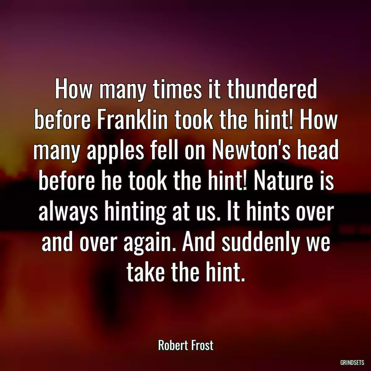 How many times it thundered before Franklin took the hint! How many apples fell on Newton\'s head before he took the hint! Nature is always hinting at us. It hints over and over again. And suddenly we take the hint.