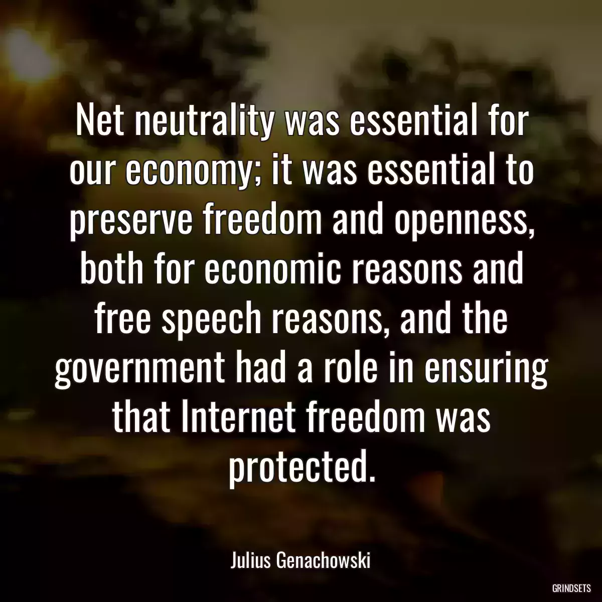 Net neutrality was essential for our economy; it was essential to preserve freedom and openness, both for economic reasons and free speech reasons, and the government had a role in ensuring that Internet freedom was protected.