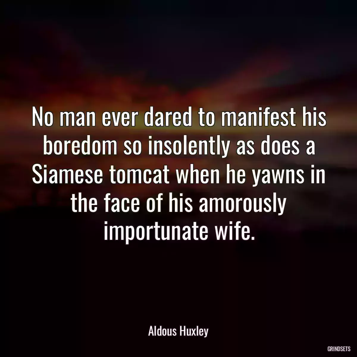 No man ever dared to manifest his boredom so insolently as does a Siamese tomcat when he yawns in the face of his amorously importunate wife.