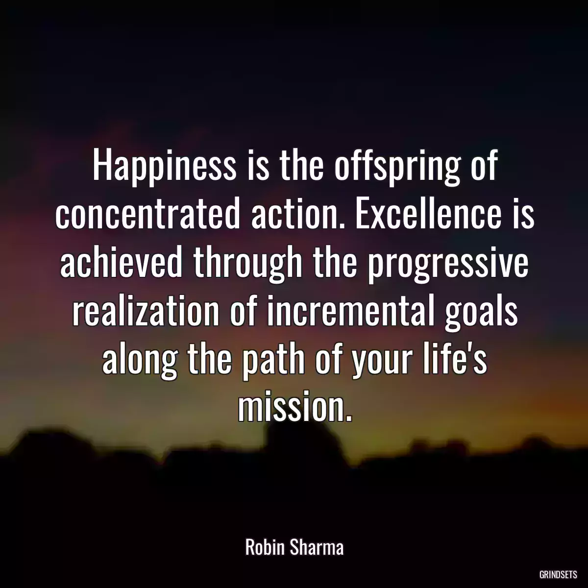 Happiness is the offspring of concentrated action. Excellence is achieved through the progressive realization of incremental goals along the path of your life\'s mission.