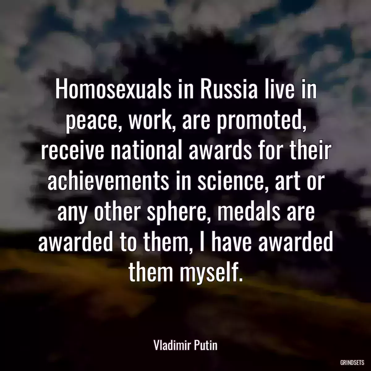 Homosexuals in Russia live in peace, work, are promoted, receive national awards for their achievements in science, art or any other sphere, medals are awarded to them, I have awarded them myself.