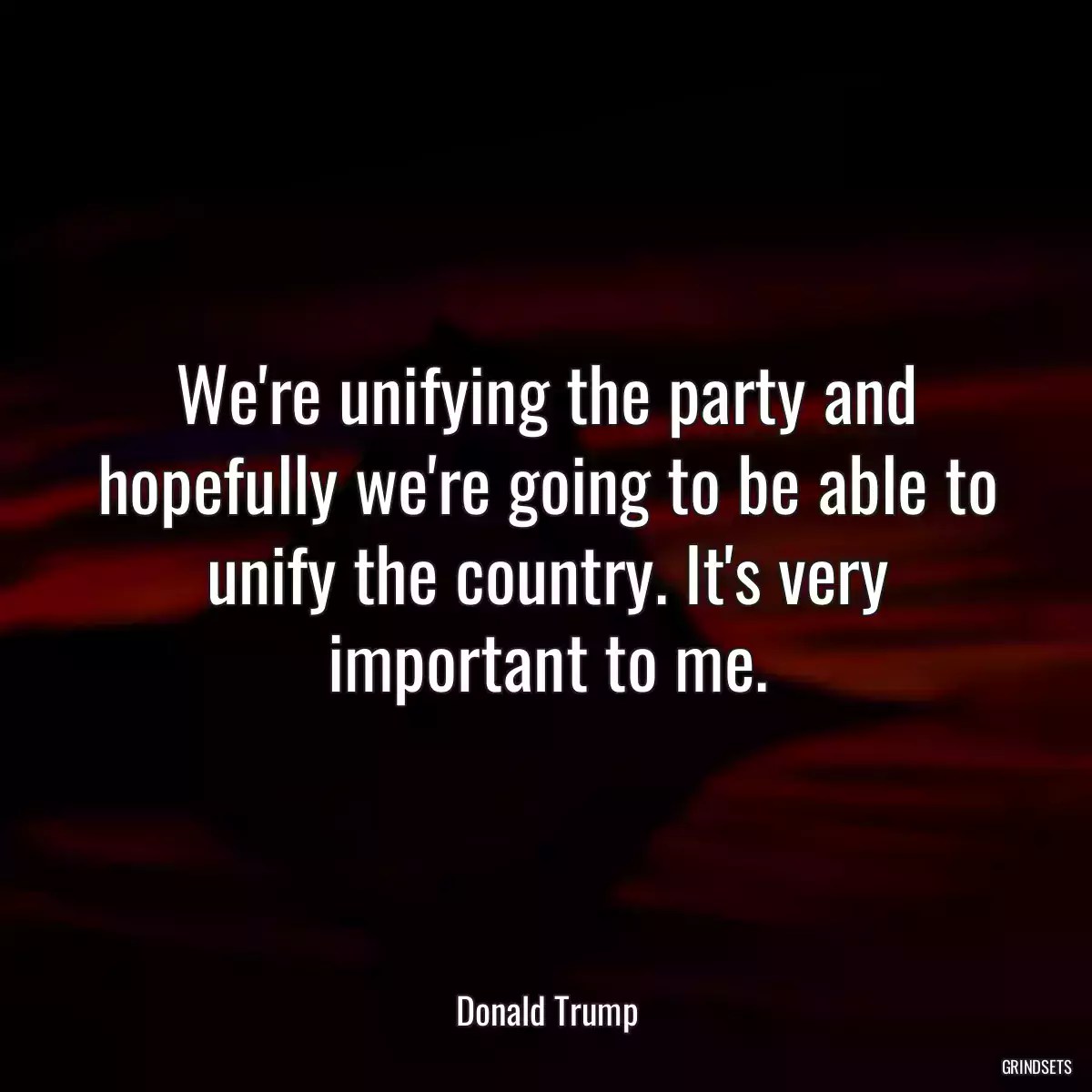 We\'re unifying the party and hopefully we\'re going to be able to unify the country. It\'s very important to me.