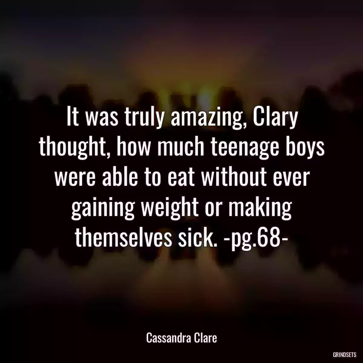 It was truly amazing, Clary thought, how much teenage boys were able to eat without ever gaining weight or making themselves sick. -pg.68-