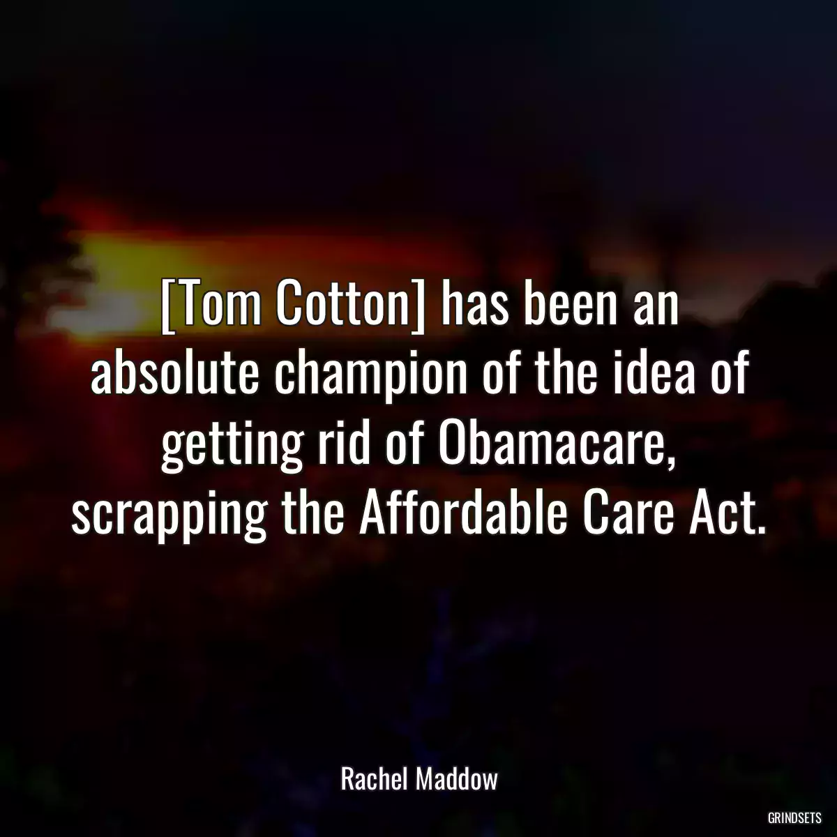 [Tom Cotton] has been an absolute champion of the idea of getting rid of Obamacare, scrapping the Affordable Care Act.