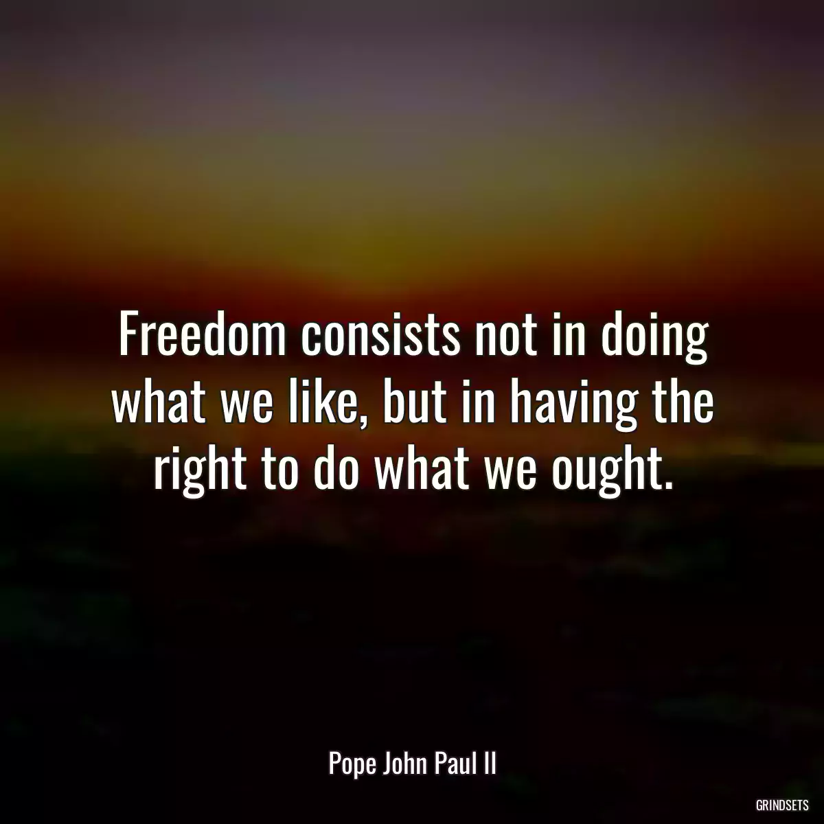 Freedom consists not in doing what we like, but in having the right to do what we ought.