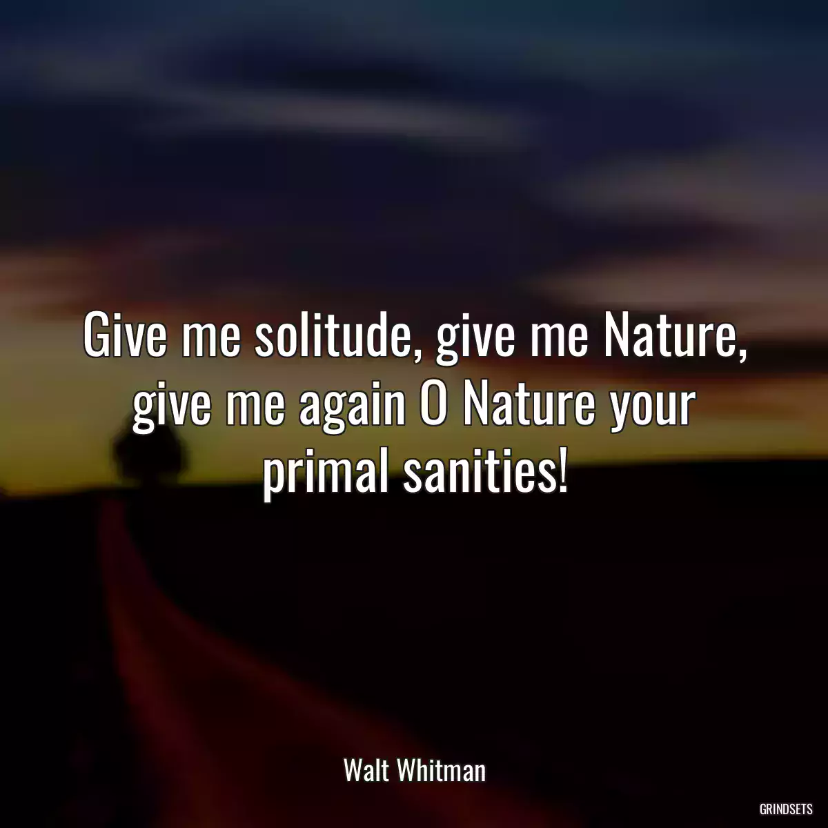 Give me solitude, give me Nature, give me again O Nature your primal sanities!