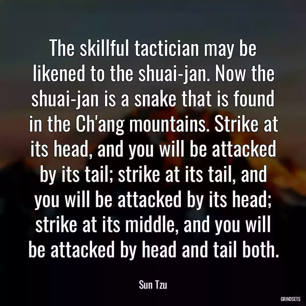 The skillful tactician may be likened to the shuai-jan. Now the shuai-jan is a snake that is found in the Ch\'ang mountains. Strike at its head, and you will be attacked by its tail; strike at its tail, and you will be attacked by its head; strike at its middle, and you will be attacked by head and tail both.