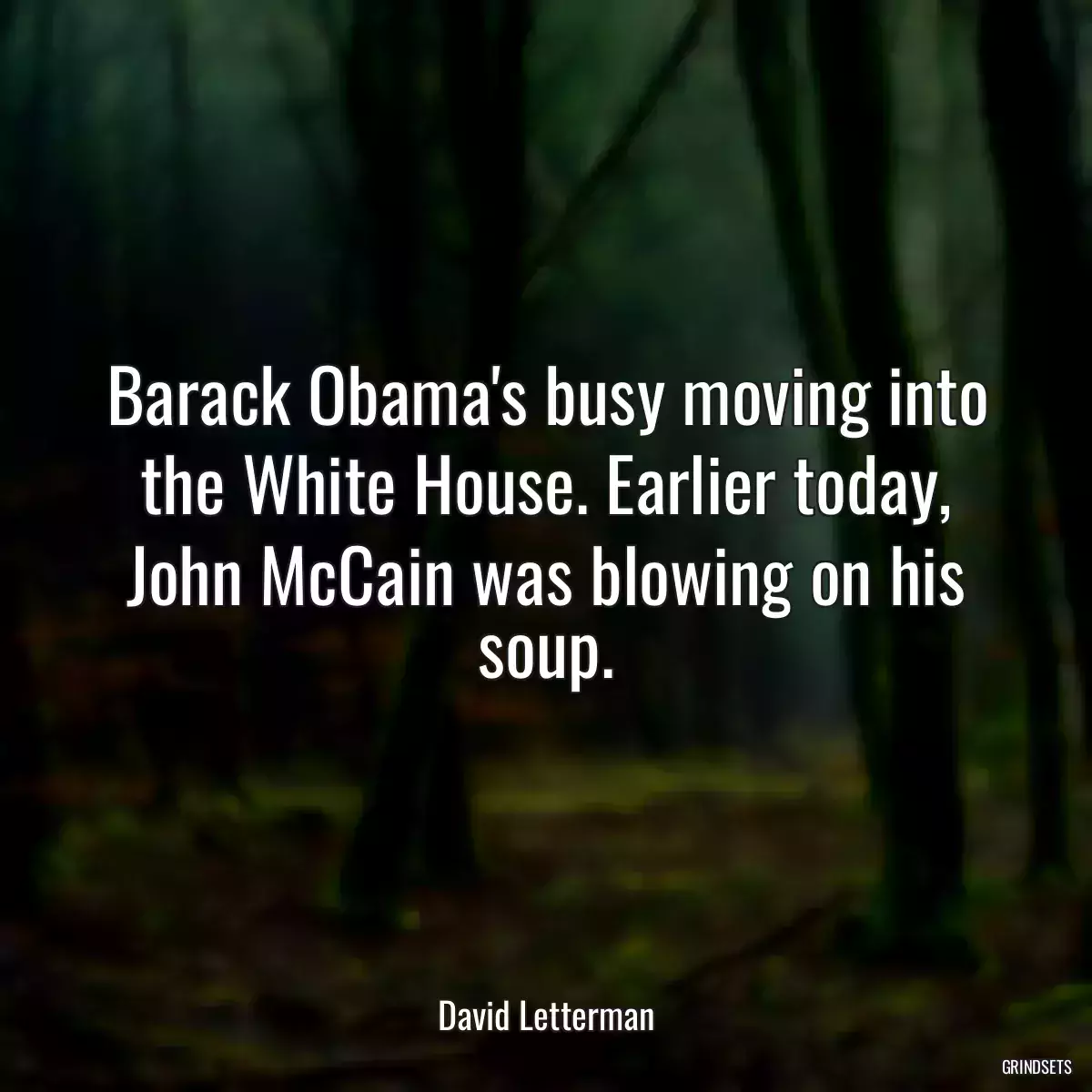 Barack Obama\'s busy moving into the White House. Earlier today, John McCain was blowing on his soup.