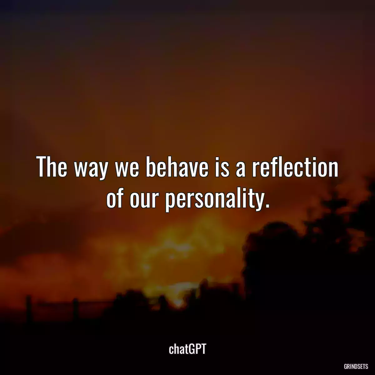 The way we behave is a reflection of our personality.