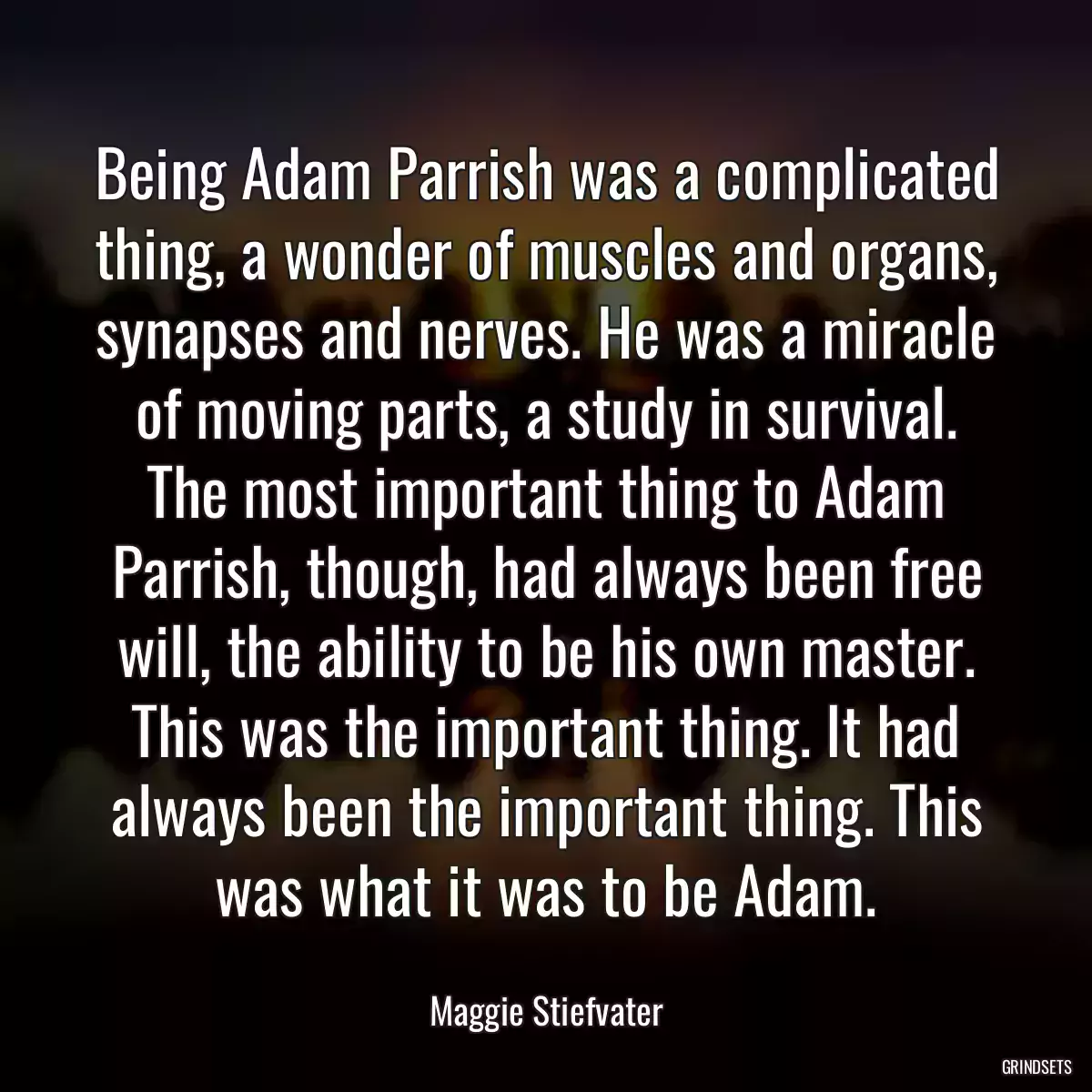 Being Adam Parrish was a complicated thing, a wonder of muscles and organs, synapses and nerves. He was a miracle of moving parts, a study in survival. The most important thing to Adam Parrish, though, had always been free will, the ability to be his own master. This was the important thing. It had always been the important thing. This was what it was to be Adam.