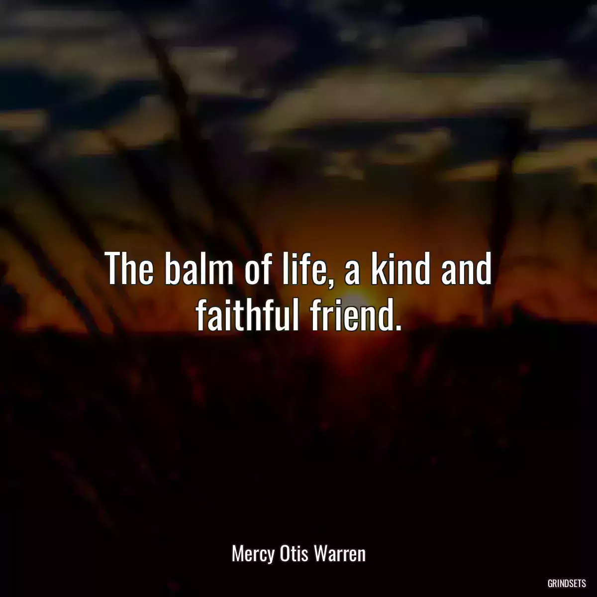 The balm of life, a kind and faithful friend.