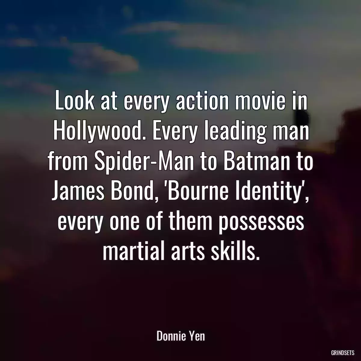 Look at every action movie in Hollywood. Every leading man from Spider-Man to Batman to James Bond, \'Bourne Identity\', every one of them possesses martial arts skills.