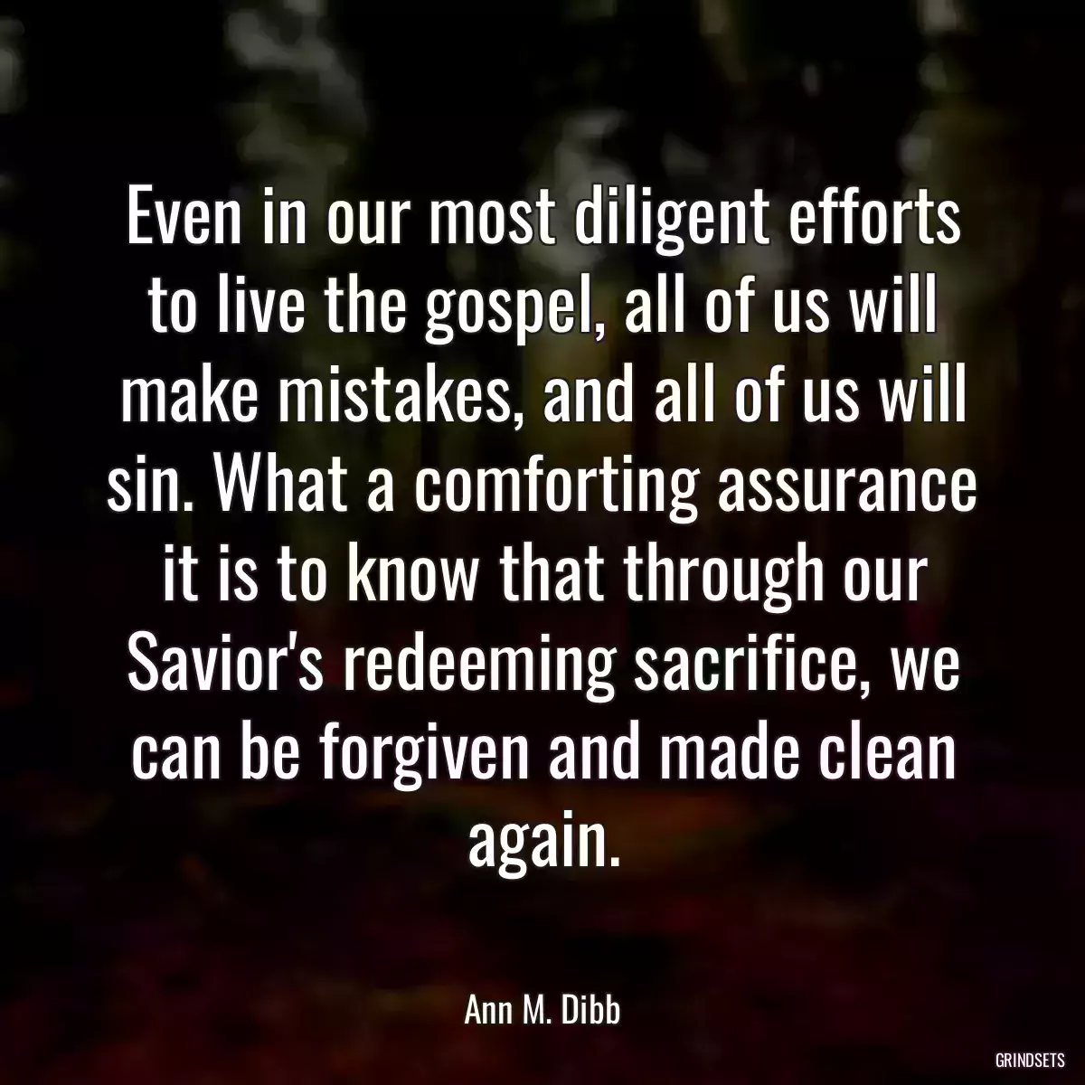 Even in our most diligent efforts to live the gospel, all of us will make mistakes, and all of us will sin. What a comforting assurance it is to know that through our Savior\'s redeeming sacrifice, we can be forgiven and made clean again.