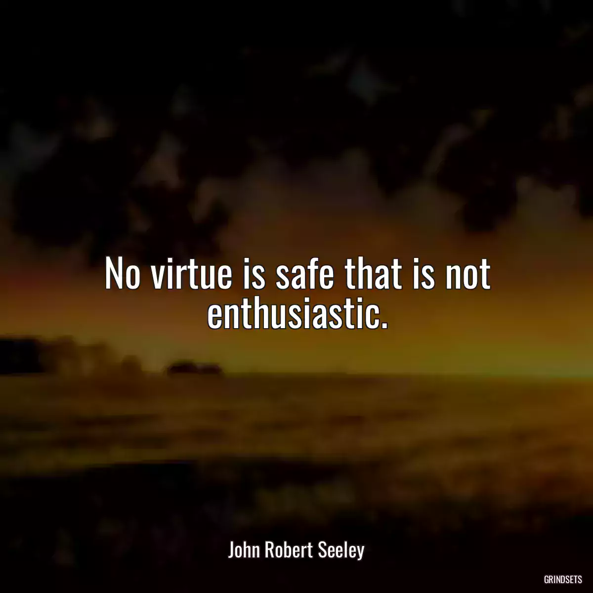 No virtue is safe that is not enthusiastic.