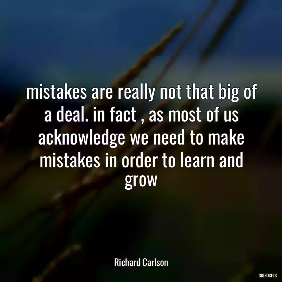 mistakes are really not that big of a deal. in fact , as most of us acknowledge we need to make mistakes in order to learn and grow