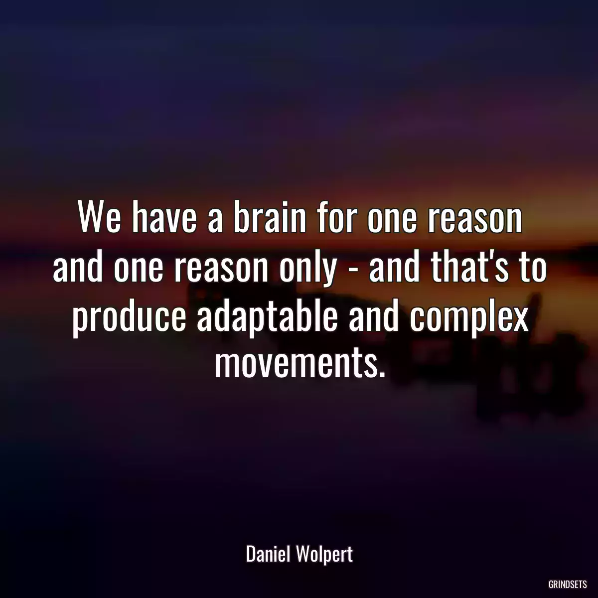 We have a brain for one reason and one reason only - and that\'s to produce adaptable and complex movements.