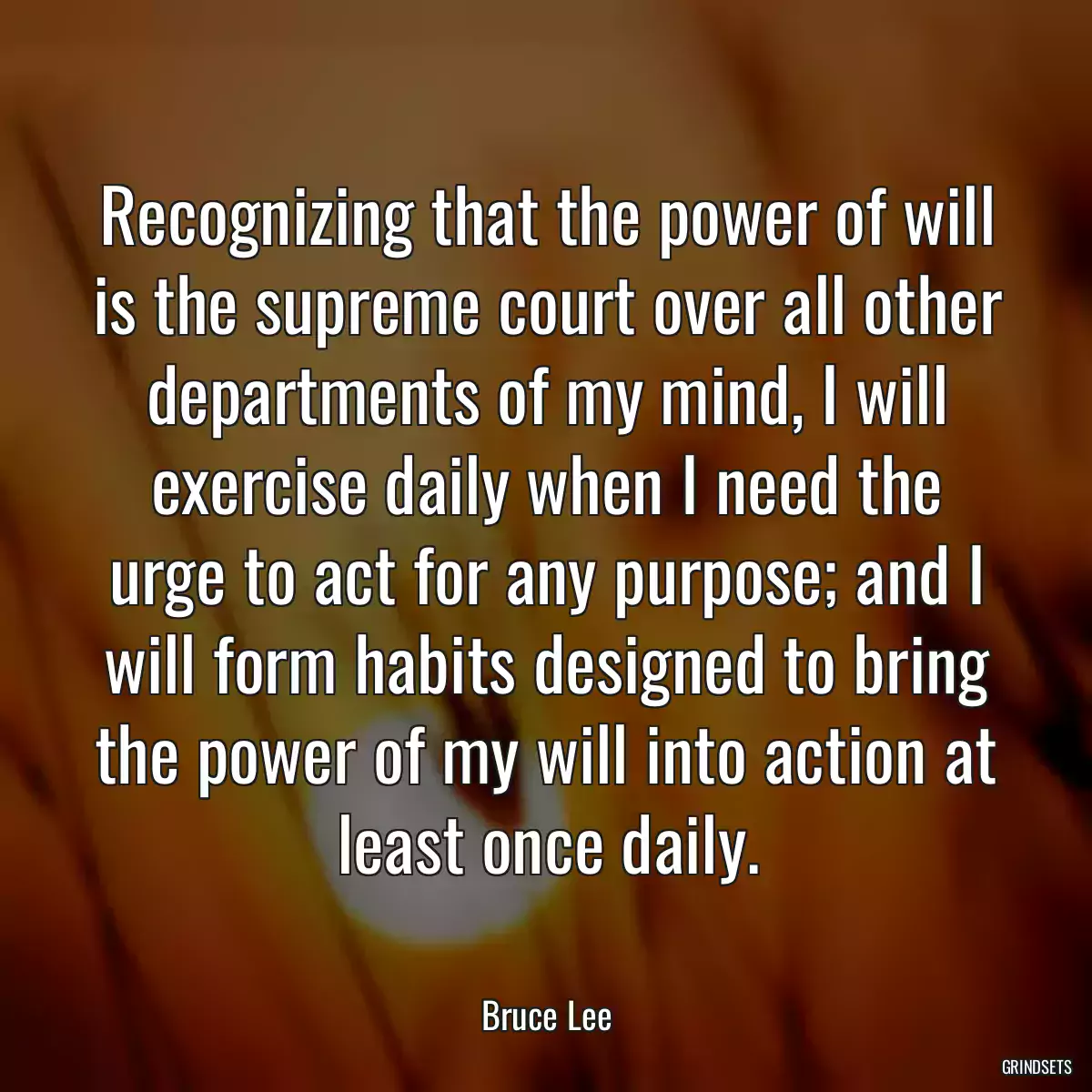 Recognizing that the power of will is the supreme court over all other departments of my mind, I will exercise daily when I need the urge to act for any purpose; and I will form habits designed to bring the power of my will into action at least once daily.