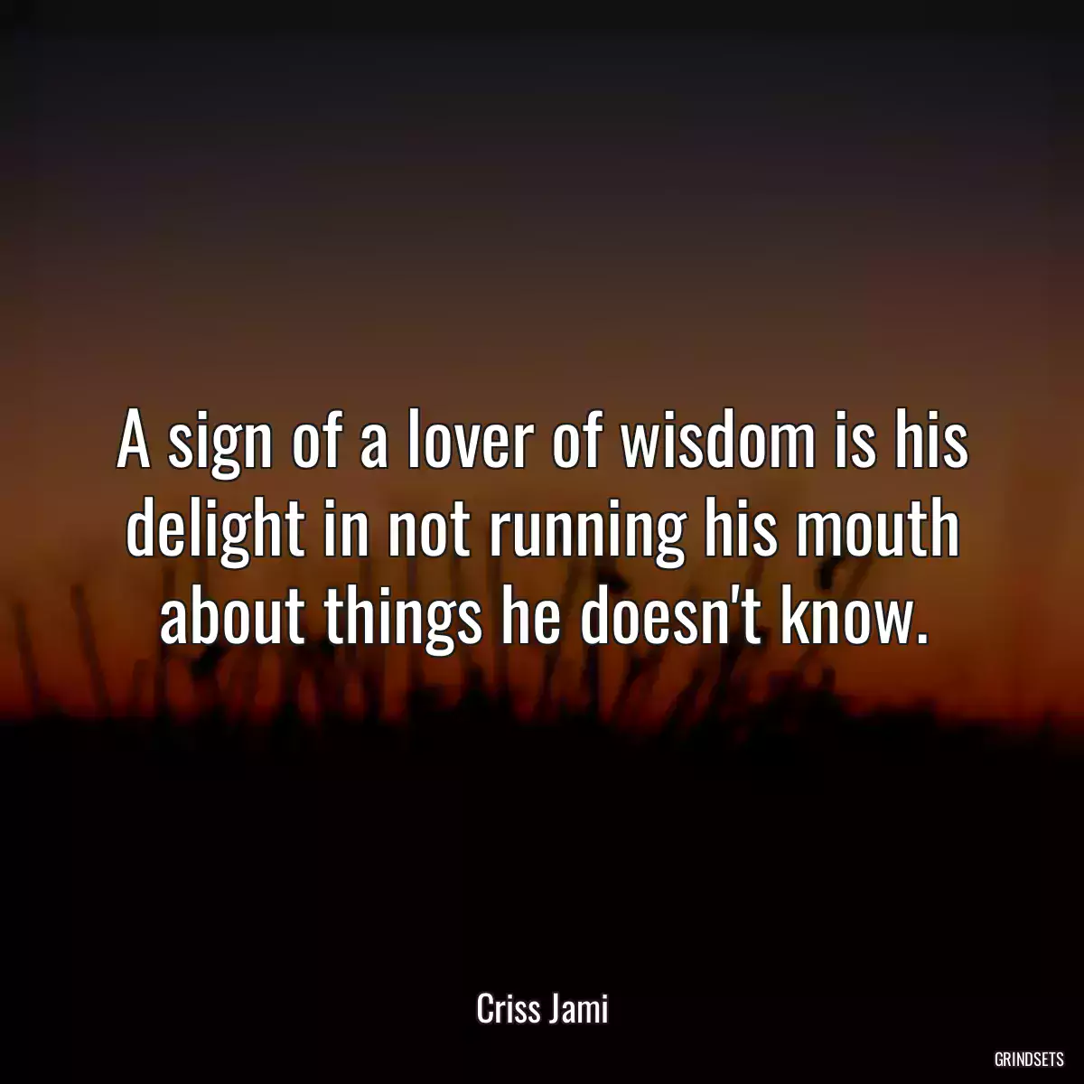 A sign of a lover of wisdom is his delight in not running his mouth about things he doesn\'t know.