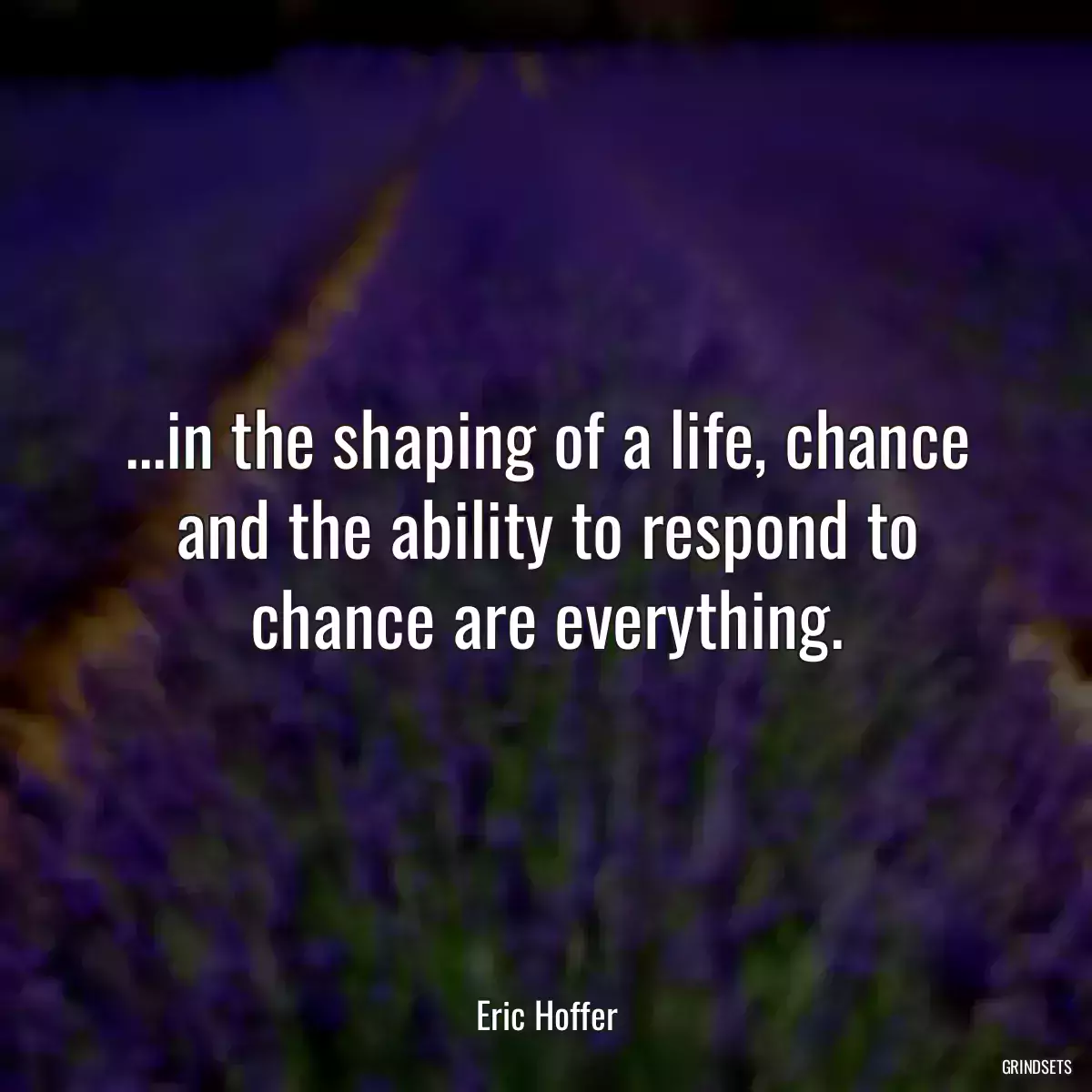 ...in the shaping of a life, chance and the ability to respond to chance are everything.