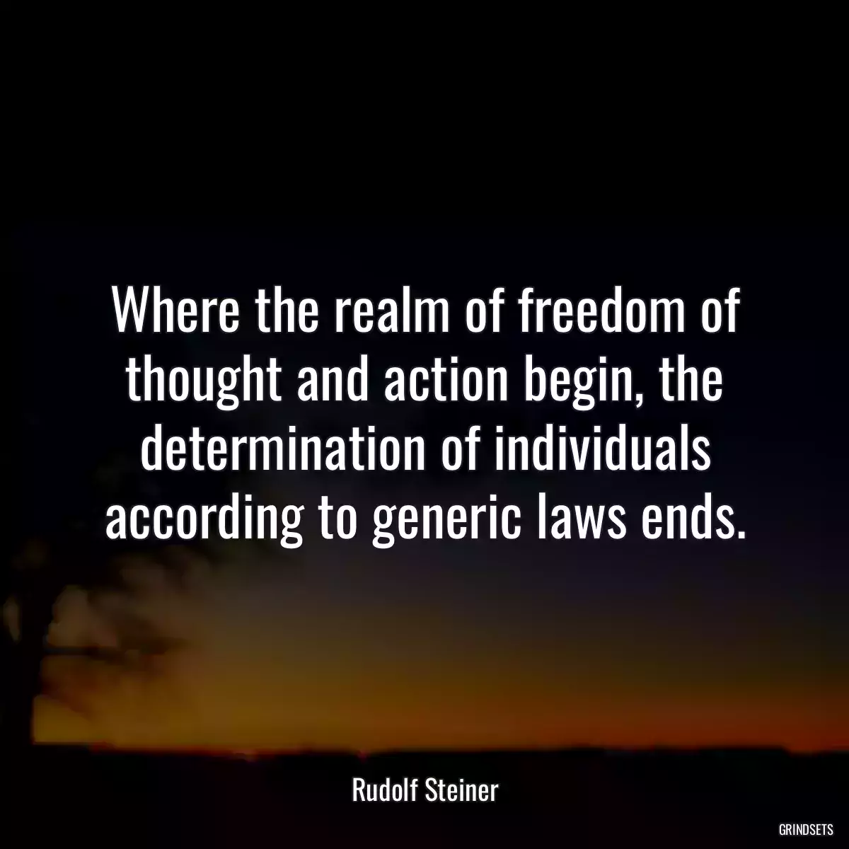 Where the realm of freedom of thought and action begin, the determination of individuals according to generic laws ends.