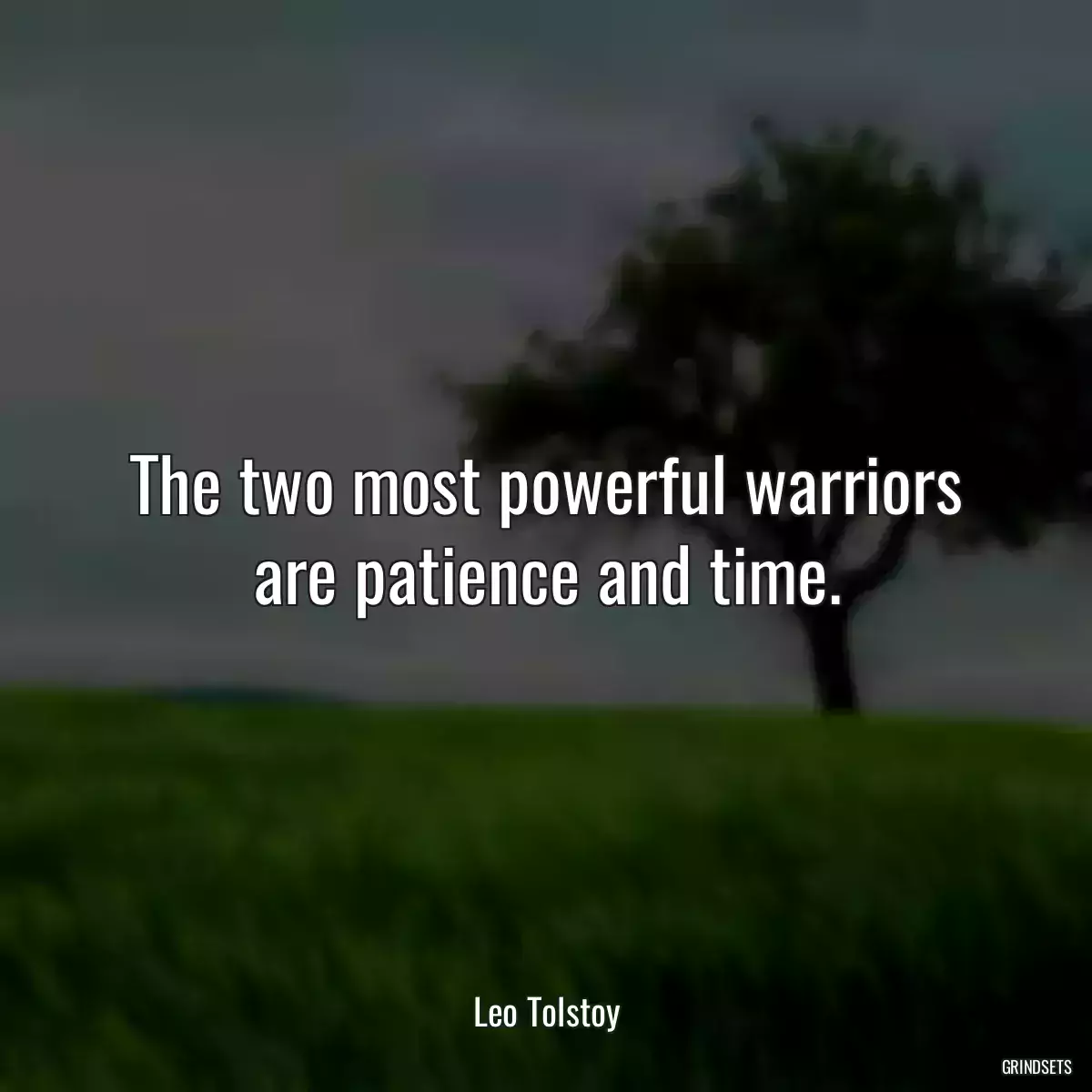 The two most powerful warriors are patience and time.