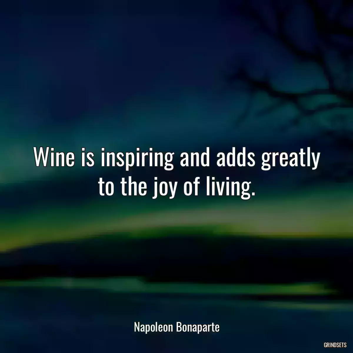 Wine is inspiring and adds greatly to the joy of living.