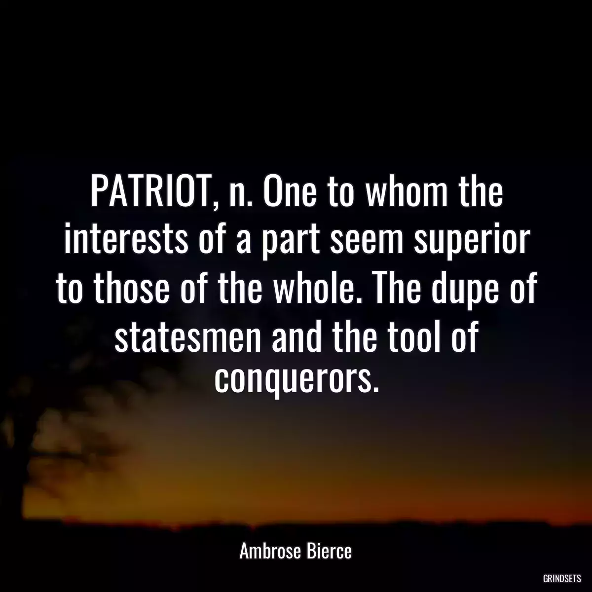 PATRIOT, n. One to whom the interests of a part seem superior to those of the whole. The dupe of statesmen and the tool of conquerors.