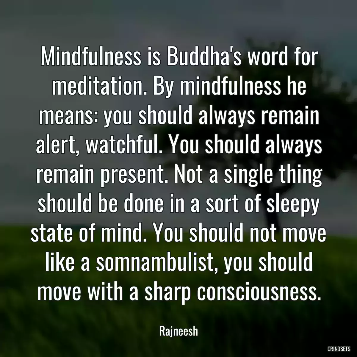 Mindfulness is Buddha\'s word for meditation. By mindfulness he means: you should always remain alert, watchful. You should always remain present. Not a single thing should be done in a sort of sleepy state of mind. You should not move like a somnambulist, you should move with a sharp consciousness.