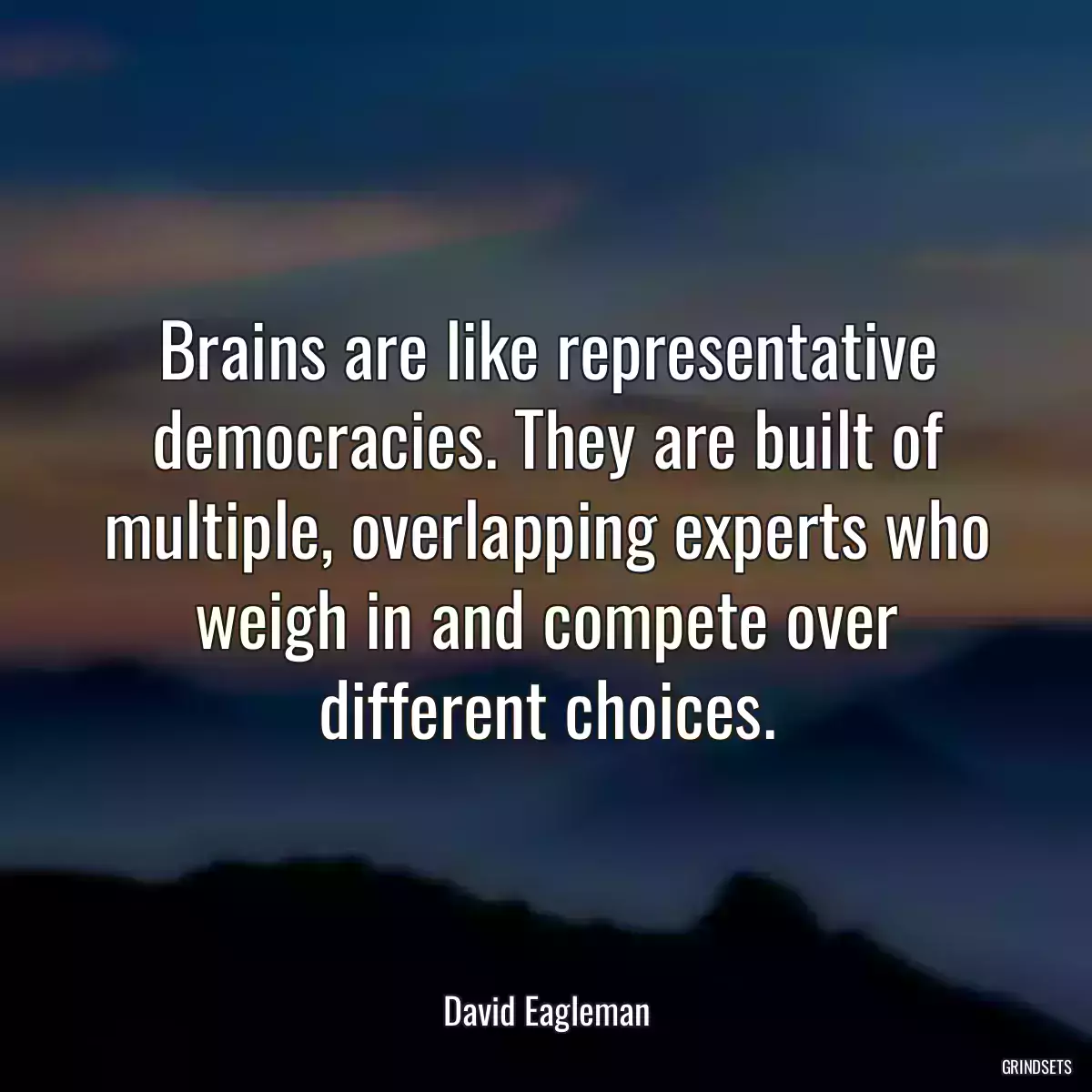 Brains are like representative democracies. They are built of multiple, overlapping experts who weigh in and compete over different choices.