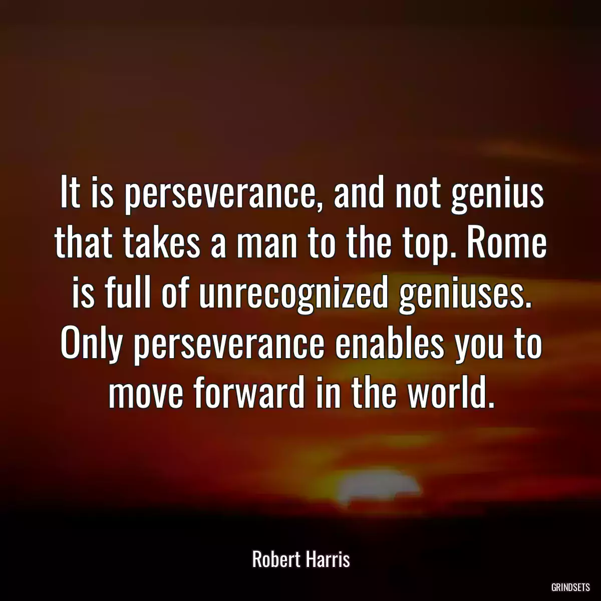 It is perseverance, and not genius that takes a man to the top. Rome is full of unrecognized geniuses. Only perseverance enables you to move forward in the world.