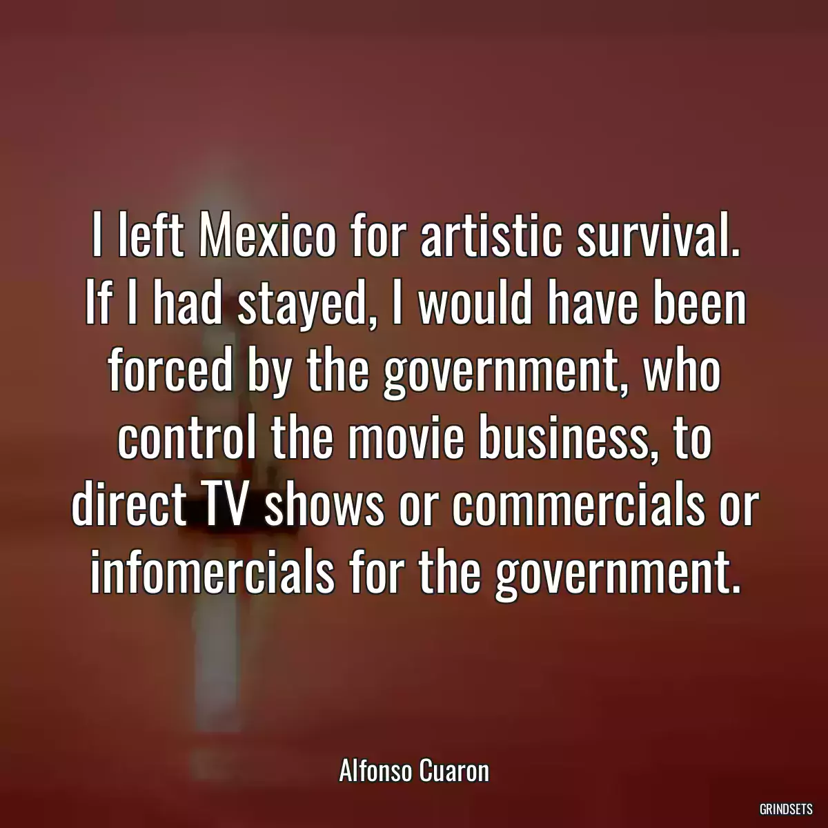 I left Mexico for artistic survival. If I had stayed, I would have been forced by the government, who control the movie business, to direct TV shows or commercials or infomercials for the government.